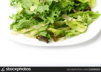 salad isolated on white background