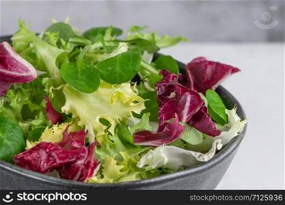 Salad mix leaves background. Fresh salad pattern with rucola, purple lettuce, spinach, frisee and chard leaf in a bowl