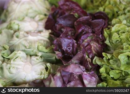 Salad mix with rucola, frisee, radicchio and lamb&amp;#39;s lettuce.