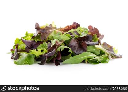 Salad mix with rucola, frisee, radicchio and lamb&rsquo;s lettuce. Isolated on white background.