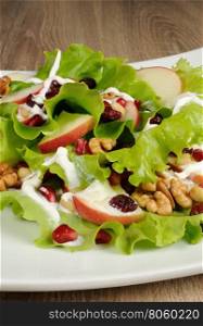 Salad of apples, cranberries , pomegranate, pine nuts and walnuts dressed with yogurt