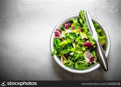 salad of fresh greens. On the metal table.. salad of fresh greens.