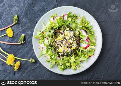 Salad of seaweed, herbs, sesame seeds and radishes.Fresh green salad. Salad with seaweed and herbs