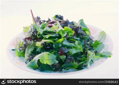 Salad on White Plate