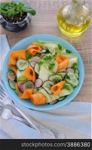 Salad ribbon of carrot and zucchini with radish and cucumber