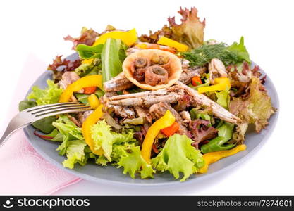 Salad with fish and fresh vegetables on white background.