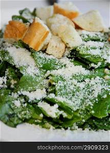 Salad With Garlic And Cheese