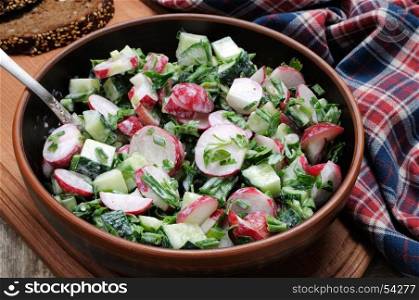 Salad with pieces of radish and cucumber, herbs and green onions, dressed yogurt. Horizontal shot.