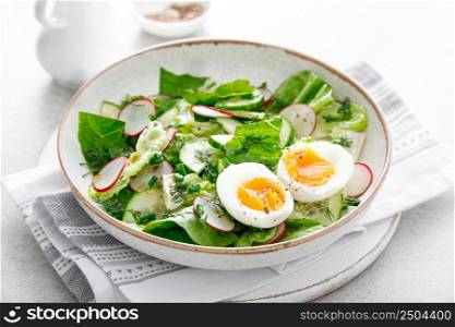 Salad with radish, cucumber, romaine lettuce and soft boiled egg