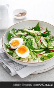 Salad with radish, cucumber, romaine lettuce and soft boiled egg
