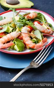 Salad with shrimp,tomatoes and arugula. spring salad with large shrimp,tomato and arugula
