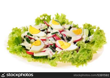 salad with slice of egg close up on green lettuce
