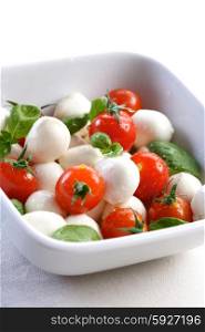 Salad with tomatoes and mozarella