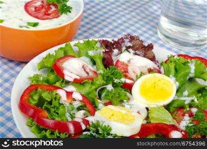 Salad with Yoghurt Dressing and a glass of water on tablecloth . Salad with Yoghurt Dressing