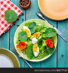 Salads from flowers and leaves of nasturtium with egg.Diet food.Colored salad. Summer nasturtium salad