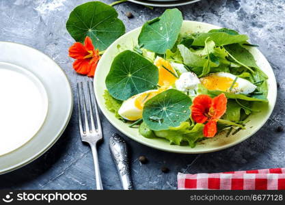 Salads from flowers and leaves of nasturtium with egg. Indian salad.Diet kitchen. Summer nasturtium salad