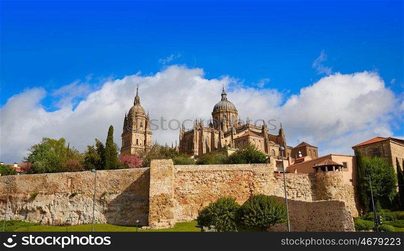 Salamanca Cathedral facade in Spain by the Via de la Plata way to Santiago