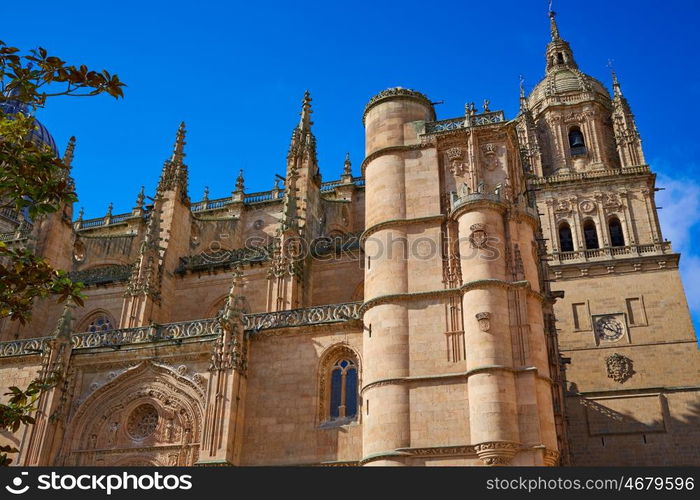 Salamanca Cathedral facade in Spain by the Via de la Plata way to Santiago