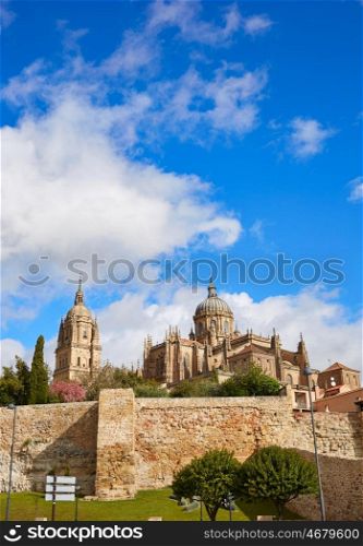 Salamanca Cathedral facade in Spain by the Via de la Plata way to Santiago