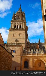 Salamanca Cathedral in Spain by the Via de la Plata way to Santiago