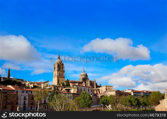 Salamanca skyline and Cathedral in Spain