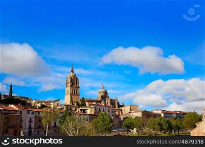Salamanca skyline and Cathedral in Spain