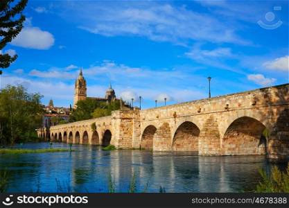 Salamanca skyline and roman bridge over Tormes river in Spain