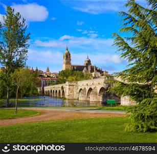 Salamanca skyline and roman bridge over Tormes river in Spain
