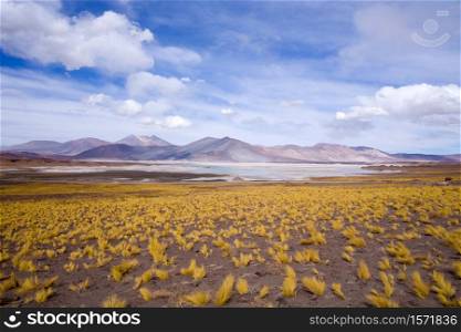 Salar de Aguas Calientes (Spanish for Hot Waters Salt Lake) and lagoon in the Altiplano (high Andean plateau) over 4000 meters over the sea level, Los Flamencos National Reserve, Atacama desert, Antofagasta Region, Chile, South America