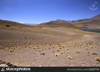 Salar de Atacama