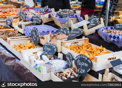 Sale of mushrooms in the Dutch market
