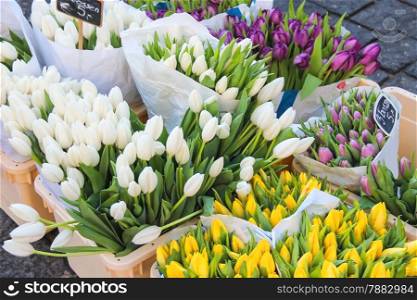 Sale of tulips in the Dutch market.