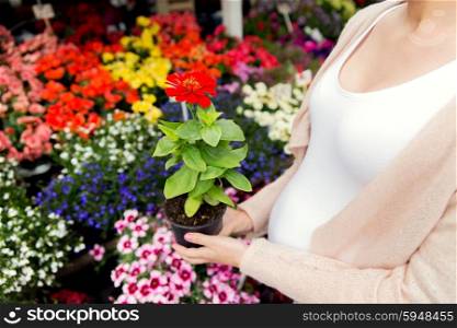 sale, shopping, pregnancy, gardening and people concept - close up of pregnant woman choosing flowers at street market