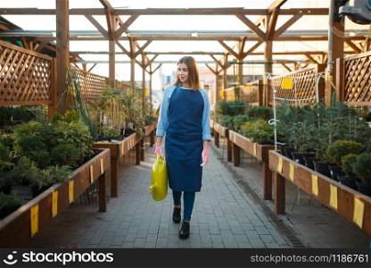 Saleswoman with watering can in shop for gardening. Woman in apron sells flowers in florist store, floriculture, floral seller. Saleswoman with watering can, shop for gardening