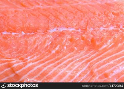 salmon closeup slice at wooden board
