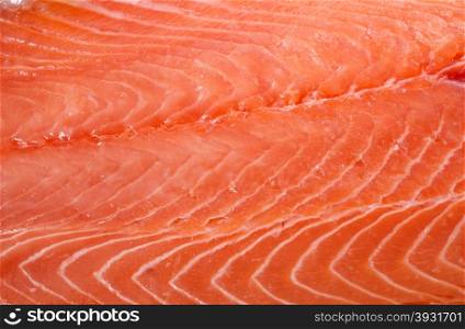salmon fillet in front of white background