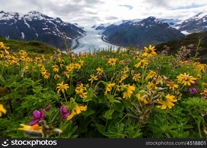 Salmon glacier in Stewart, Canada