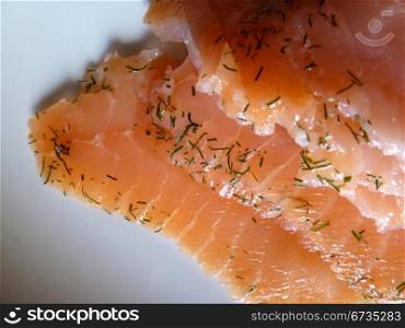 salmon gravlax on a white background