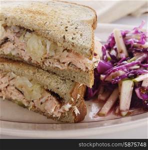 Salmon Sandwich and Red Cabbage Salad