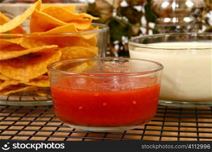 Salsa Nachos and Cheese Dip