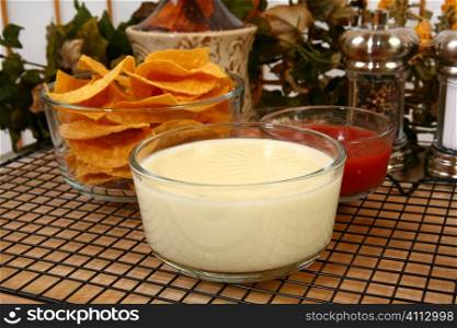 Salsa Nachos and Cheese Dip