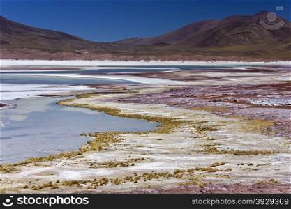 Salt deposits at Alues Calientes Lagoon in Atacama Desert in northern Chile
