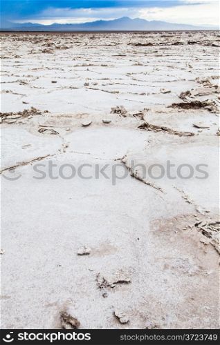 Salt desert close to Amboy, USA. Concept for desertification