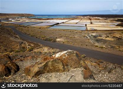 salt in lanzarote spain musk pond rock stone sky water coastline and summer