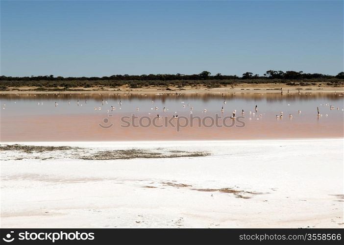 Salt lake, evidence of drought in rural Australia