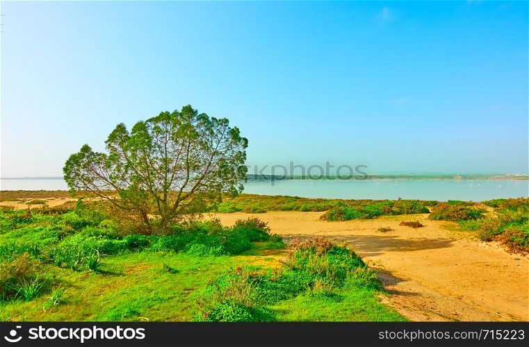 Salt lake in Larnaca, Cyprus - Landscape
