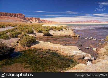salt lake Salar de Tara, desert Atacama, Chile