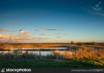 Salt marshes at sunset on Re island, France. Salt marshes at sunset on Re island