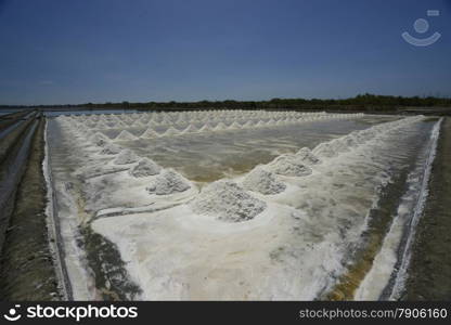 salt productuion outside of the city of Bangkok in Thailand in Southeastasia.. ASIA THAILAND BANGKOK SALT