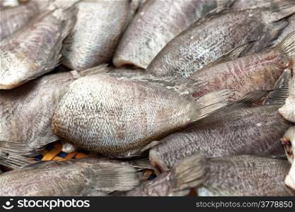 Salted gourami fish at Asian market